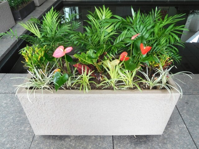 外でゴキブリが潜む場所の1つプランターの画像