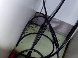 1枚目の写真をクローズアップ。配線に付着した黒い粒が、集合フェロモンを放つゴキブリの糞であることを完全特定したプロの証拠写真