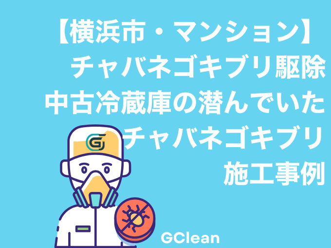横浜市港北区のマンションでの中古冷蔵庫に潜んだチャバネゴキブリ駆除事例