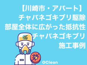 川崎市中原区1Kアパート部屋全体に広がった抵抗性を持ったチャバネゴキブリ駆除事例