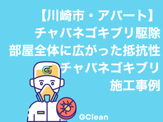 川崎市中原区1Kアパート部屋全体に広がった抵抗性を持ったチャバネゴキブリ駆除事例