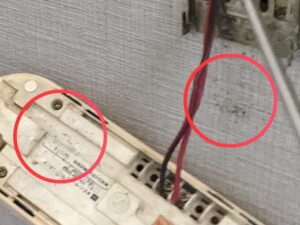 取り外したインターホンの裏側に付着した微細なチャバネゴキブリの糞の痕跡