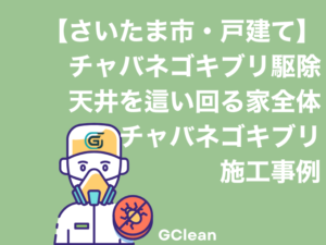 さいたま市南区の戸建て全体に広がって天井を這い回るチャバネゴキブリ駆除事例