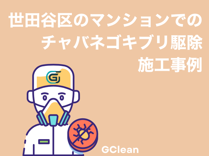 世田谷区のマンションでのチャバネゴキブリ駆除施工事例:Wi-Fiルーターが原因