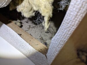 墨田区の築古アパートにて、レンジフード（換気扇）の上部カバーを開放し、ダクト周りの壁の隙間にクロゴキブリの卵（卵鞘）と思われる黒い影が散見される精密調査の様子