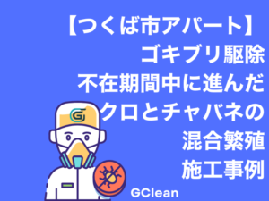 茨城県つくば市のアパートにて長期不在中に繁殖したクロとチャバネゴキブリの駆除事例