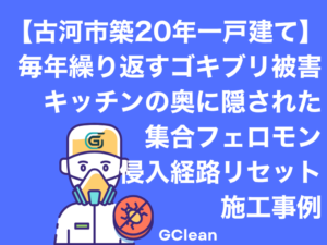茨城県古河市の一戸建てにて、キッチン収納の内部点検を実施。引き出しを取り外した奥に溜まっていた大量の糞を特定し、フェロモンを除去事例