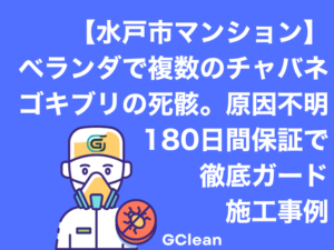 水戸市マンションでベランダで原因不明の複数のチャバネゴキブリの死骸が。180日間保証での事例