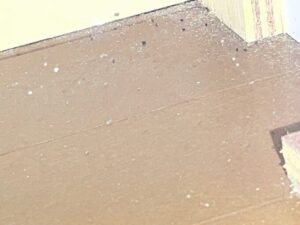 群馬県高崎市の築古アパートにて、入居直後のキッチン床下および奥の隙間を精密点検。入居者様が発見された不審な黒い粒の正体を突き止めるため、死角をプロ仕様のライトで隅々まで照らし出している様子